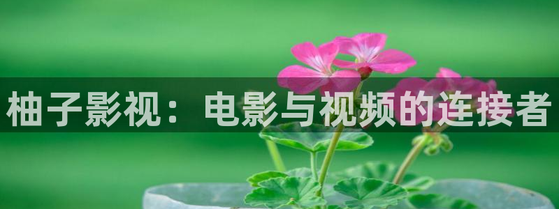 交换的一天神马影院