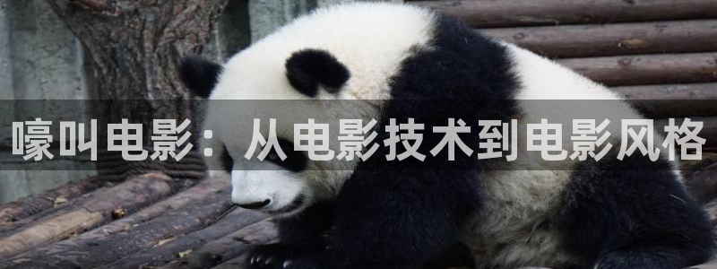 未来神马影院在线观看