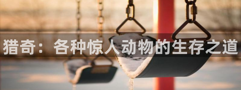 原来的神马影视大全