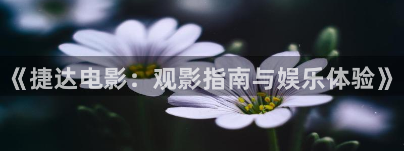 神马电影院老子午