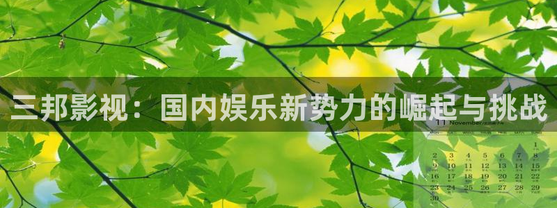 神马影院免费观看电视