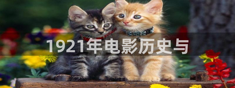 神马影院欲望