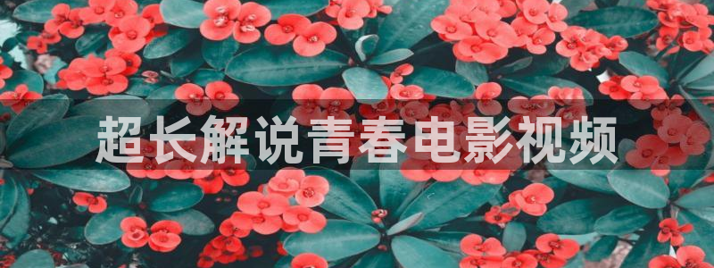 无套内射神马影院未删减版：超长解说青春电影视频