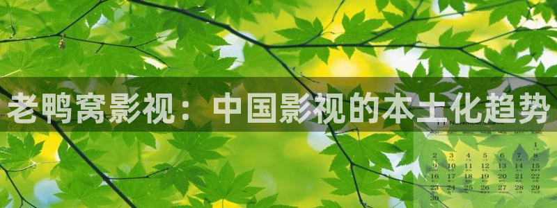 神马影院与君初相识：老鸭窝影视：中国影视的本土化趋势