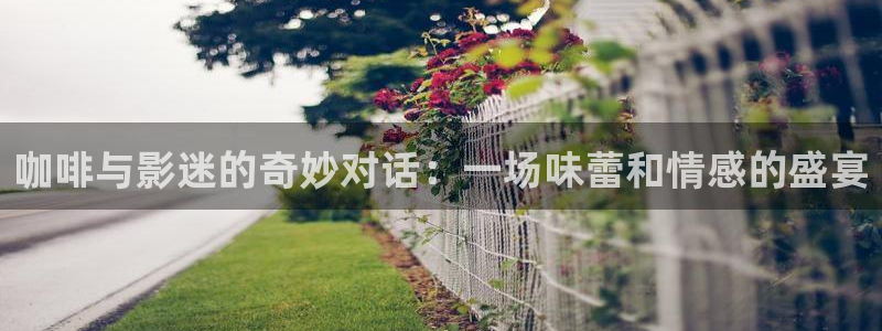 神马电影院我不卡手机版：咖啡与影迷的奇妙对话：一场味蕾和情感的盛宴