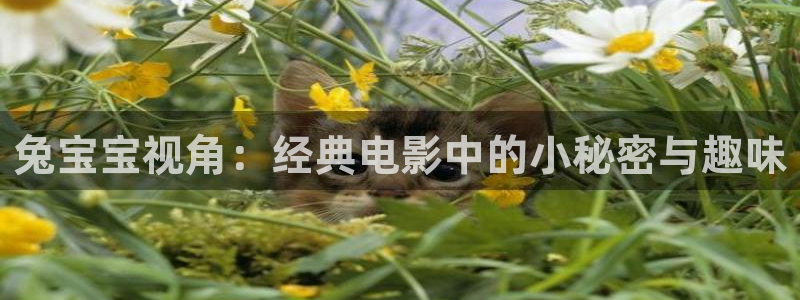 神马影视大全在线