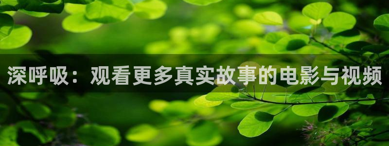 新神马电影网
